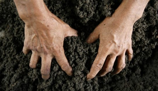 В Киеве коррупционеры украли 75 земельных участков